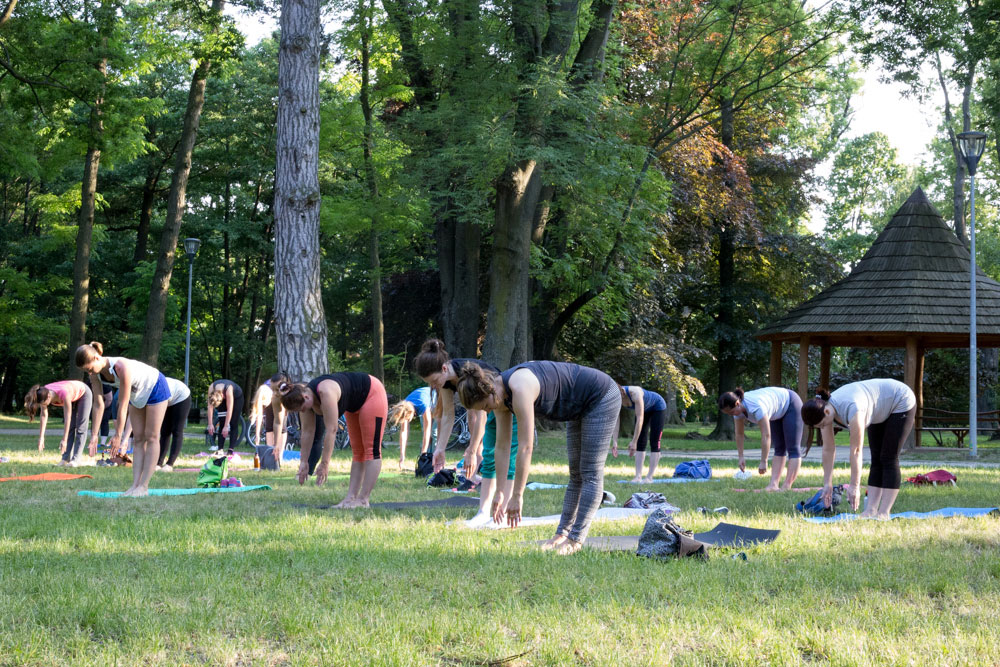 Vitálka - jóga v parku pri altánku - ľudia cvičiaci na zelenej lúke v parku.